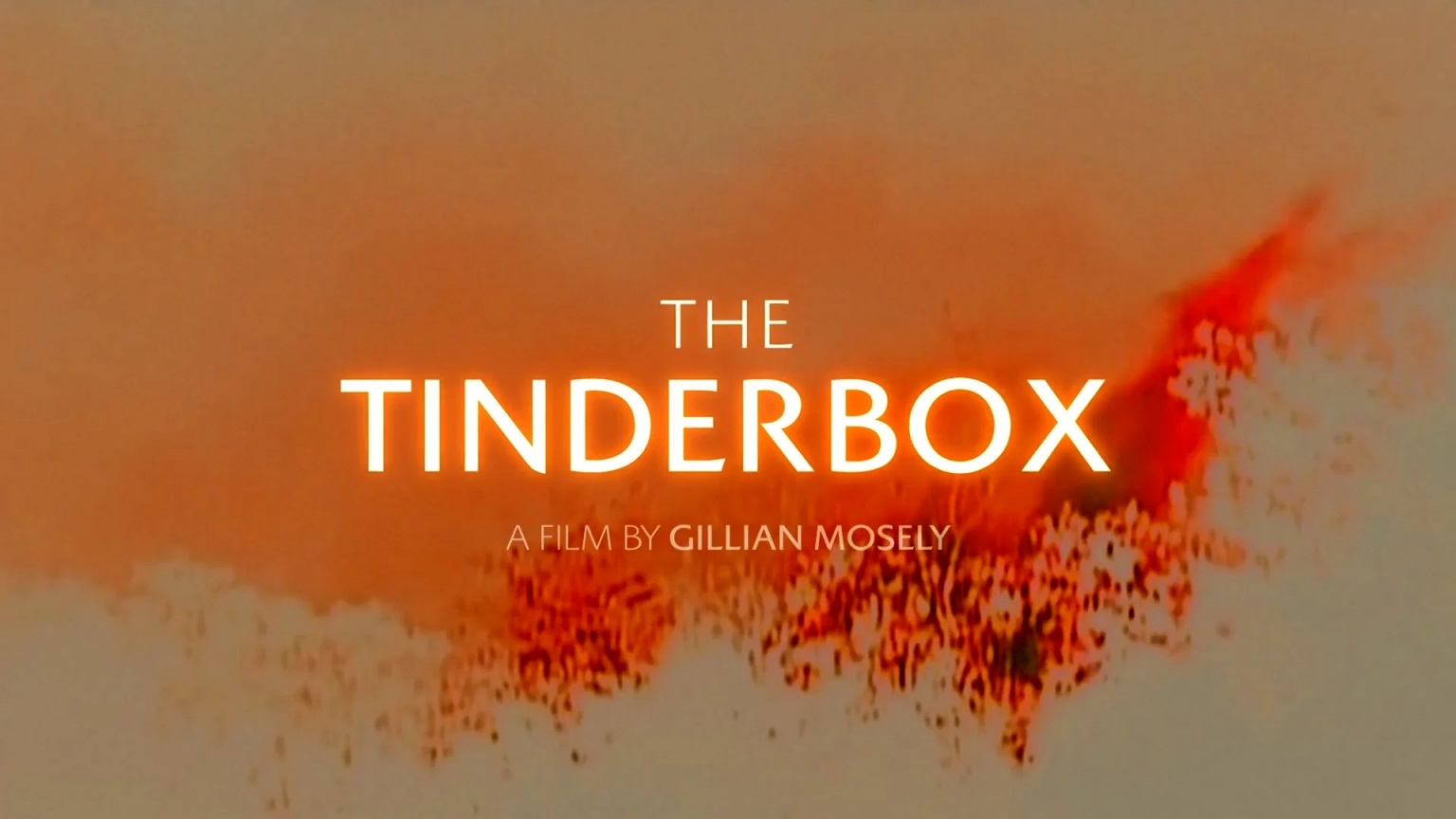 The Tinderbox, a film by Gillian Mosely